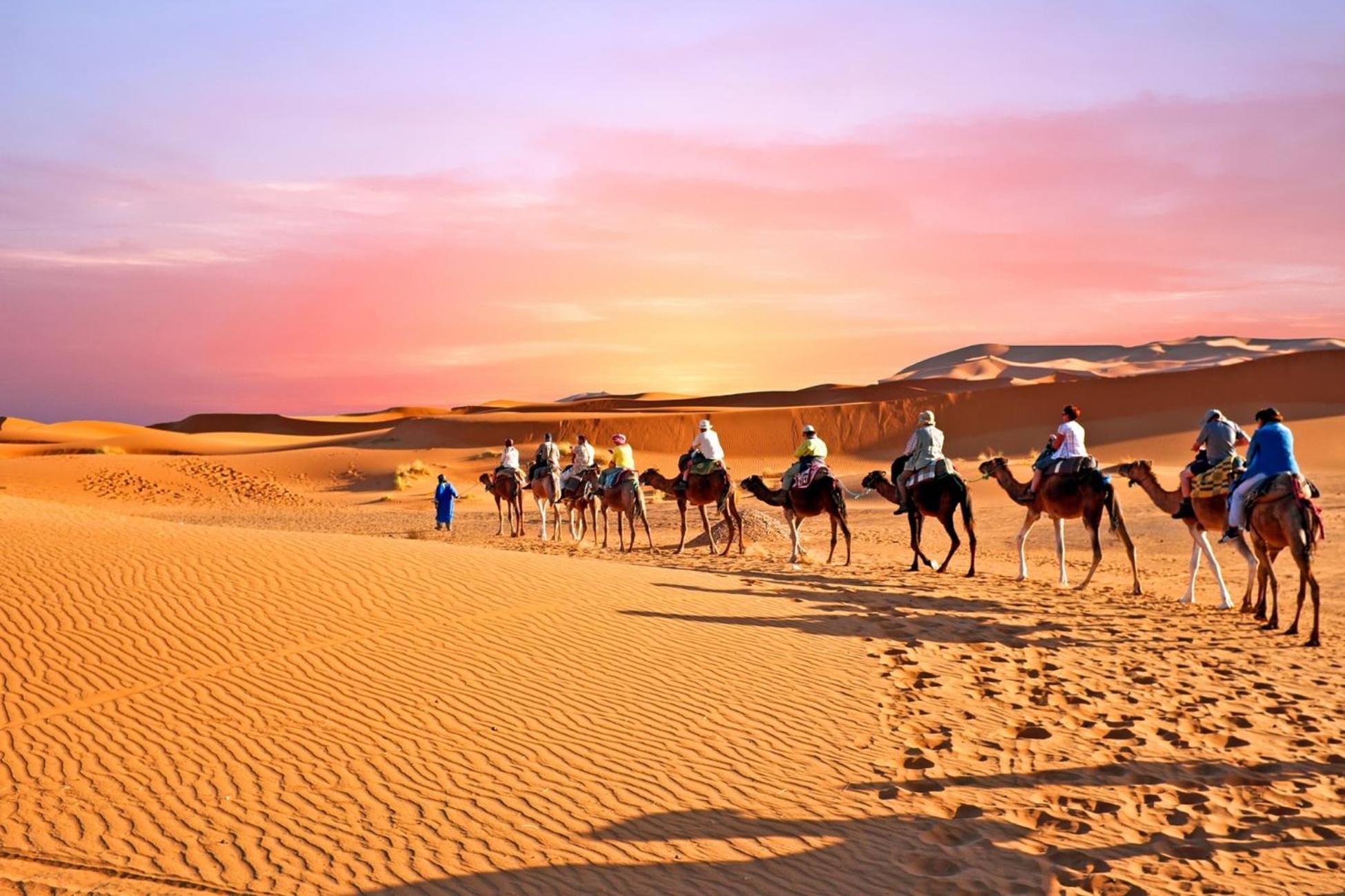 Desert Camel Trek Merzouga Exterior photo